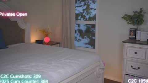 Aspen Wild online show from December 2025 04:36:01 PM