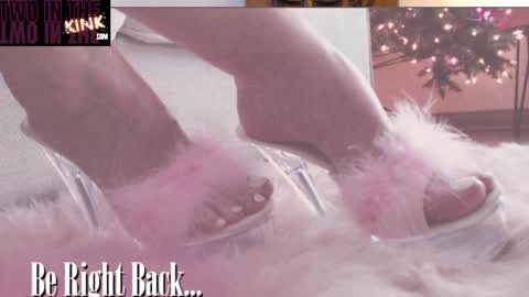 ASSleigh Abbott online show from January 2025 02:10:01 AM