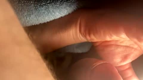 asterwix online show from September 2025 01:46:01 PM