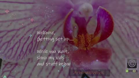 Atrena online show from April 2026 02:07:01 AM