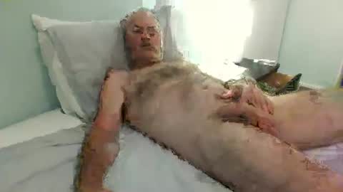 Snapshot of auckland26 chatting on December 2025 09:47:02 AM auckland26 online show from December 2025 09:47:02 AM