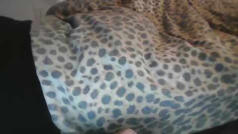 Aussiecockpumper76 online show from March 2025 05:21:02 AM