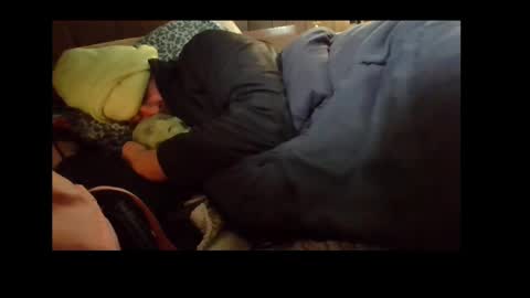 Senior Agua online show from December 2024 07:28:02 AM