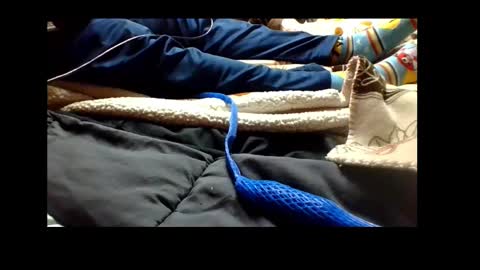 Senior Agua online show from December 2024 04:38:01 PM