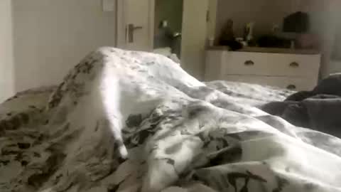 averagebar online show from March 2026 09:23:01 AM