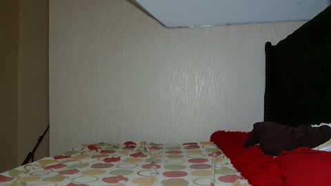 Avian online show from November 2025 08:44:01 PM