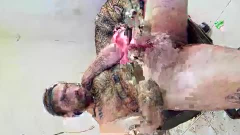 deliciosodemente online show from March 2026 12:38:02 AM