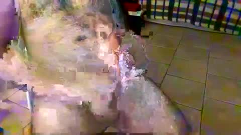 axisbest online show from October 2025 01:11:01 AM