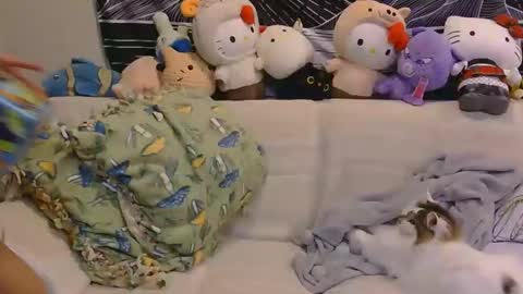 aznp1ea5er online show from February 2026 04:19:01 AM