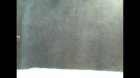 b1gg9inch online show from January 2025 11:02:02 AM