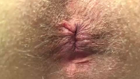 Din online show from January 2025 08:11:01 PM