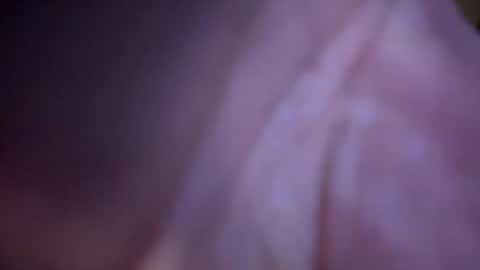 Snapshot of baby_buddha chatting on January 2025 01:28:01 PM baby buddha  online show from January 2025 01:28:01 PM