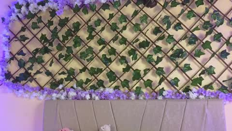 Snapshot of baby_xian chatting on December 2024 02:45:02 AM  Dani  online show from December 2024 02:45:02 AM