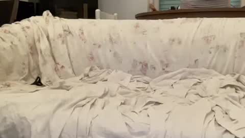 bach online show from February 2025 04:44:01 PM