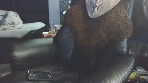 Badboy95 online show from April 2026 04:10:02 AM