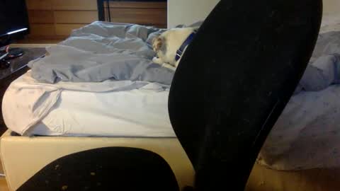 bahn92 online show from March 2026 06:30:01 AM