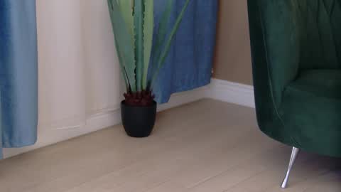 bailey_rush online show from December 2025 04:14:01 PM