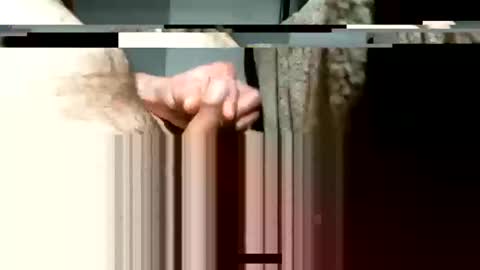 balthazar7676 online show from January 2025 10:31:01 AM