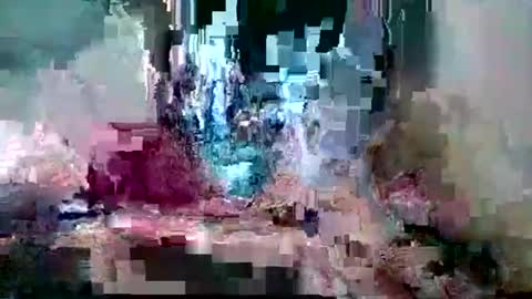 bamacpl80 online show from February 2026 07:35:01 PM