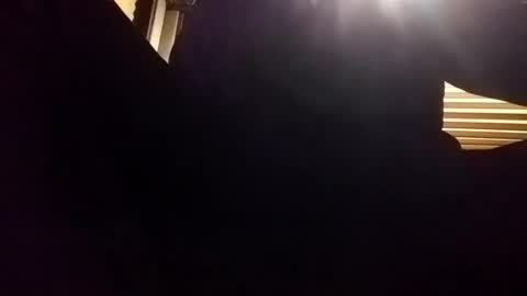 Snapshot of baobabtree8 chatting on December 2024 02:10:02 AM baobabtree8 online show from December 2024 02:10:02 AM