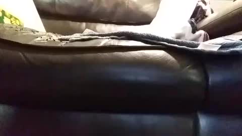 Snapshot of baobabtree8 chatting on January 2025 01:45:02 PM baobabtree8 online show from January 2025 01:45:02 PM