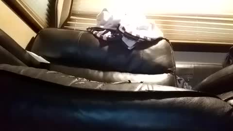 Snapshot of baobabtree8 chatting on January 2025 01:06:02 PM baobabtree8 online show from January 2025 01:06:02 PM