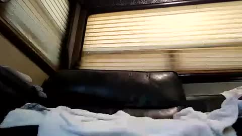 Snapshot of baobabtree8 chatting on February 2025 02:14:02 PM baobabtree8 online show from February 2025 02:14:02 PM