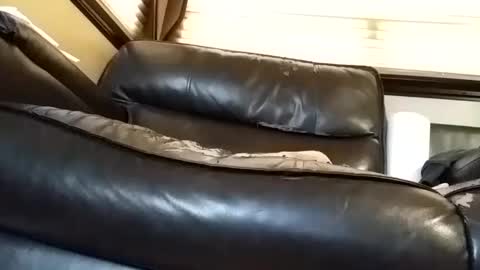 Snapshot of baobabtree8 chatting on March 2025 02:29:02 PM baobabtree8 online show from March 2025 02:29:02 PM