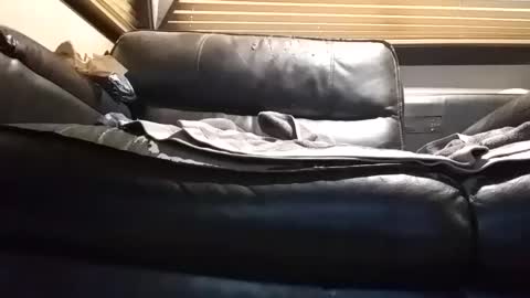 Snapshot of baobabtree8 chatting on September 2025 12:53:01 PM baobabtree8 online show from September 2025 12:53:01 PM