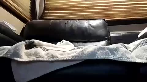 Snapshot of baobabtree8 chatting on October 2025 12:14:02 PM baobabtree8 online show from October 2025 12:14:02 PM