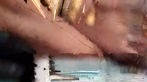 Snapshot of baobabtree8 chatting on October 2025 02:17:02 PM baobabtree8 online show from October 2025 02:17:02 PM