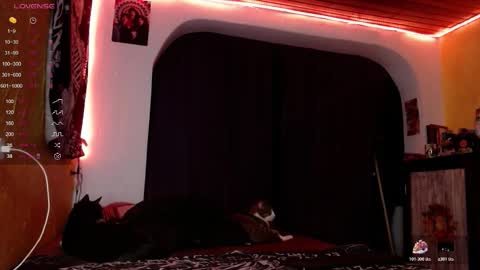 lilithgreen7 online show from December 2025 03:46:02 AM