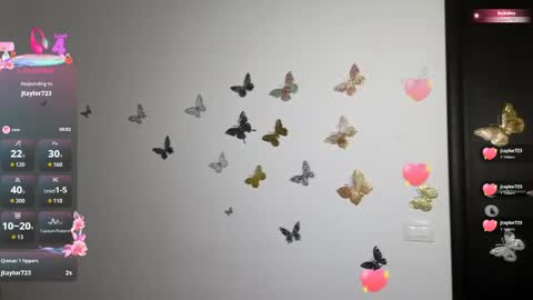 Snapshot of barbara_smith chatting on May 2026 09:01:01 PM Barb online show from May 2026 09:01:01 PM