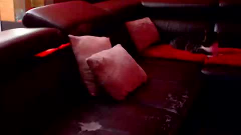 Snapshot of barbaraxxl chatting on September 2025 08:31:01 PM BARBARA online show from September 2025 08:31:01 PM