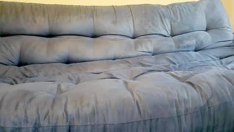 barpol online show from April 2026 02:42:01 PM