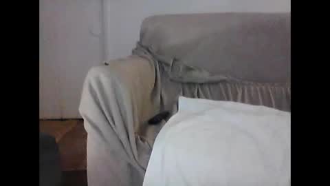 barrysand online show from February 2025 07:45:02 AM