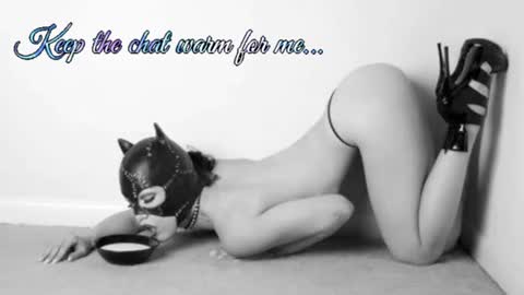 Snapshot of batmansfavoritewife chatting on July 2026 07:15:02 AM Your always sexy Harley online show from July 2026 07:15:02 AM