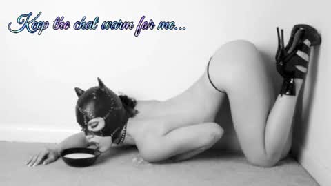 Snapshot of batmansfavoritewife chatting on July 2026 08:19:01 AM Your always sexy Harley online show from July 2026 08:19:01 AM