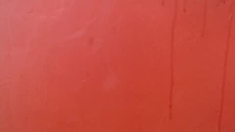 bayonette_black online show from November 2025 07:06:01 PM