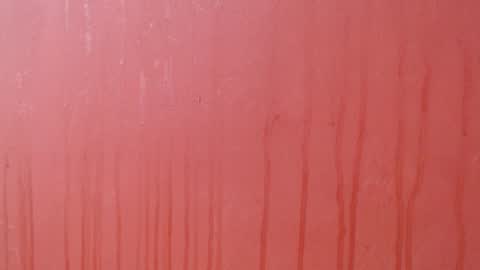 bayonette_black online show from December 2025 08:18:02 PM