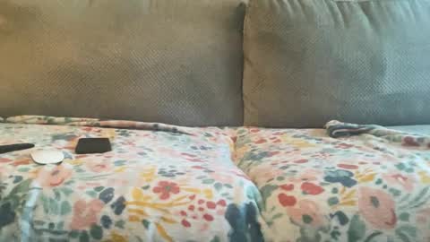 Zaddy online show from January 2025 09:58:01 PM