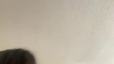 bby_julesss online show from January 2025 09:03:01 PM