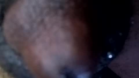 bcfalcon69 online show from April 2026 02:40:02 AM