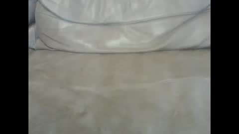 bds2013 online show from March 2025 12:11:02 PM