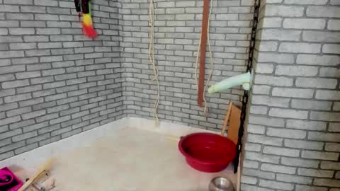 Meduza  online show from November 2025 02:34:02 PM