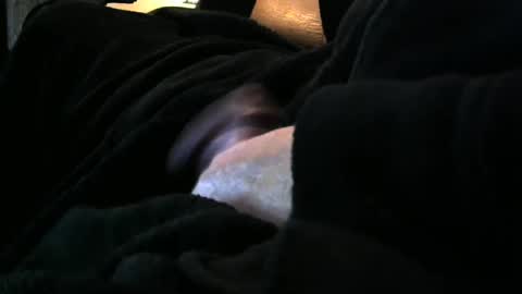 bear4146 online show from December 2024 04:08:02 PM