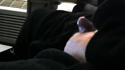 Snapshot of bear4146 chatting on March 2026 01:00:01 PM bear4146 online show from March 2026 01:00:01 PM