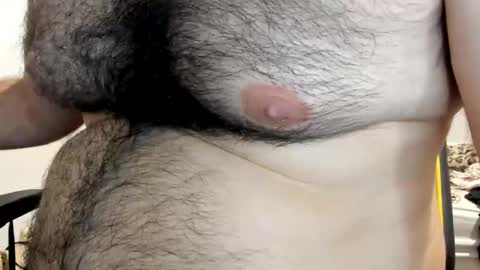 DOM bear online show from April 2026 02:42:01 PM