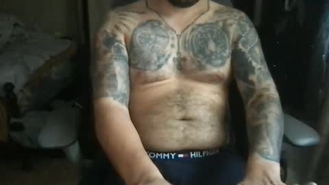 Bearcito online show from May 2026 10:04:01 PM