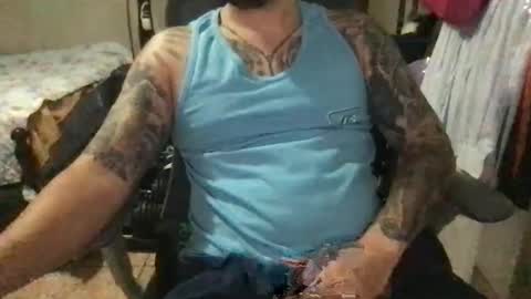 Bearcito online show from May 2026 03:46:02 AM